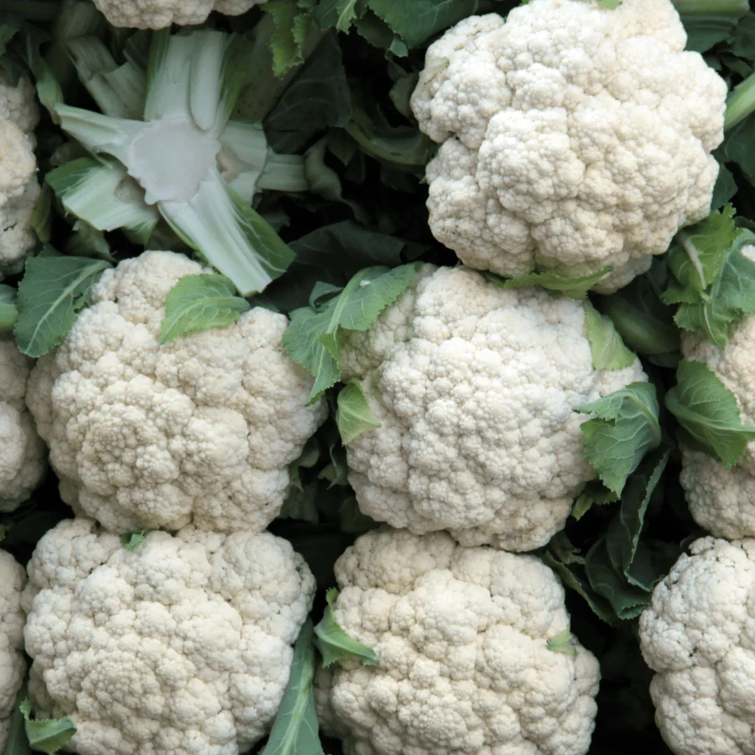 Cauliflower Skywalker Certified Seeds | West Coast Seeds